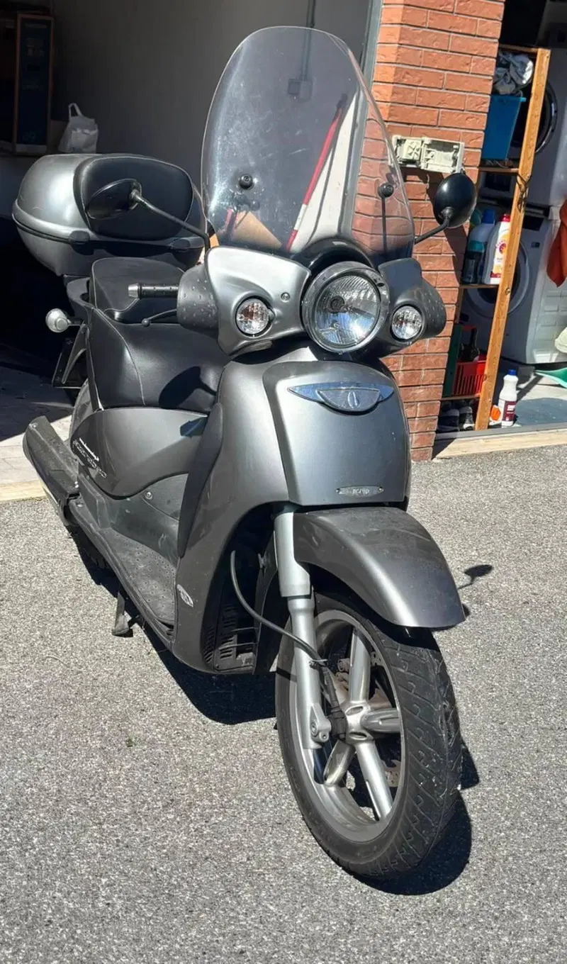 Aprilia Scarabeo 250 GT (2004 - 07) (10)