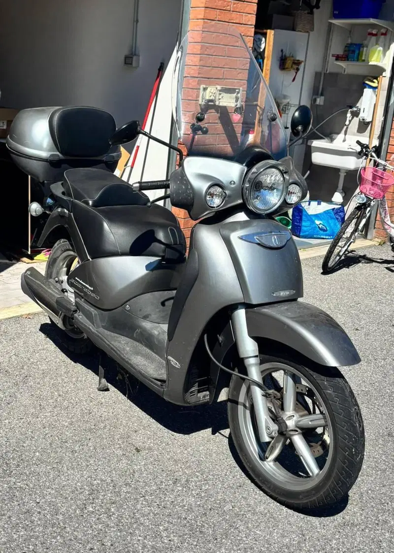 Aprilia Scarabeo 250 GT (2004 - 07) (11)