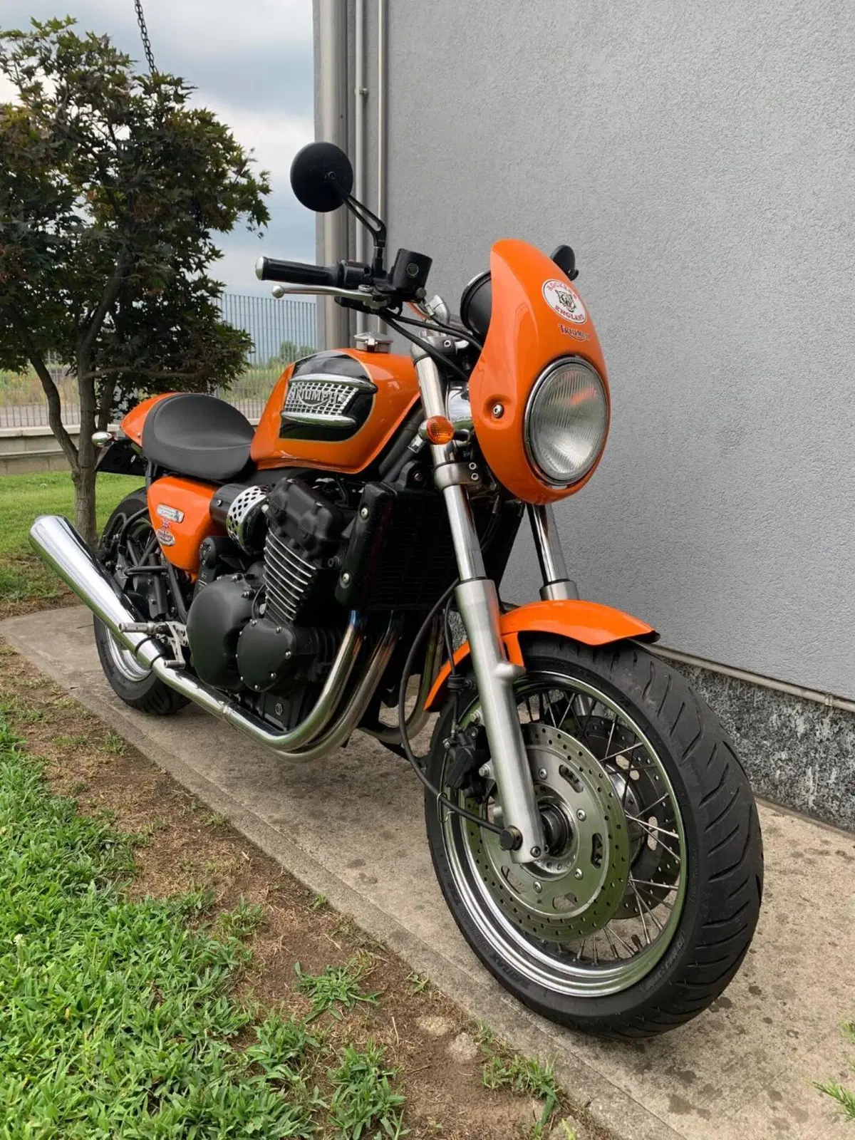 Triumph Thunderbird 900 Sport (2003 - 04) (3)