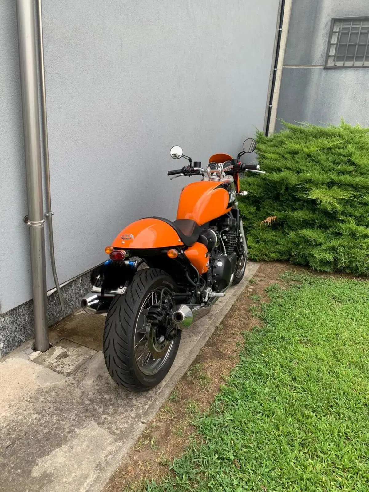 Triumph Thunderbird 900 Sport (2003 - 04) (4)