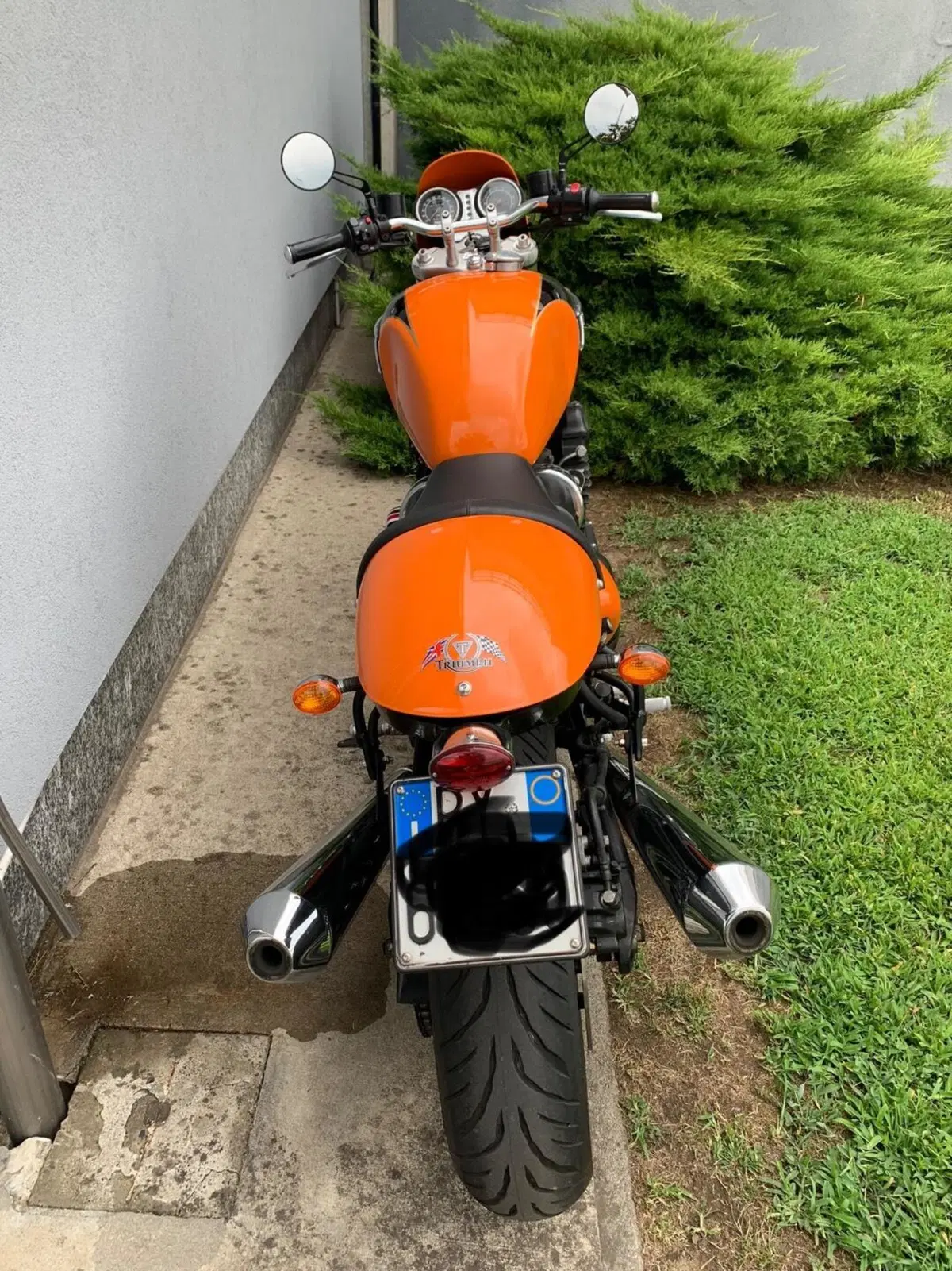 Triumph Thunderbird 900 Sport (2003 - 04) (6)