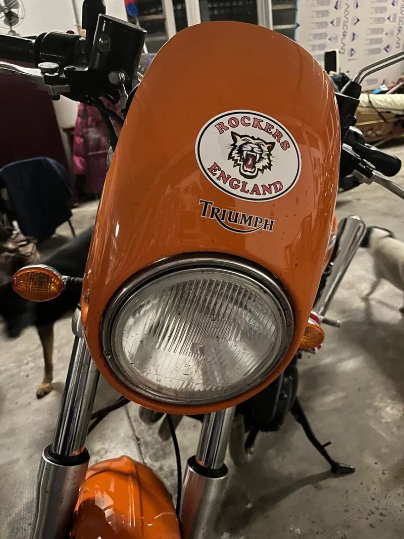 Triumph Thunderbird 900 Sport (2003 - 04) (10)