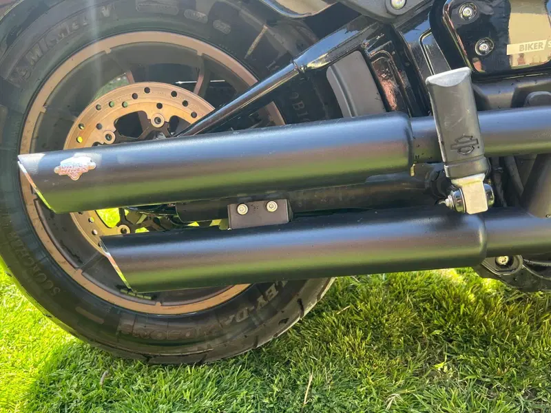 Harley-Davidson 114 Low Rider S (2020) - FXLRS (3)