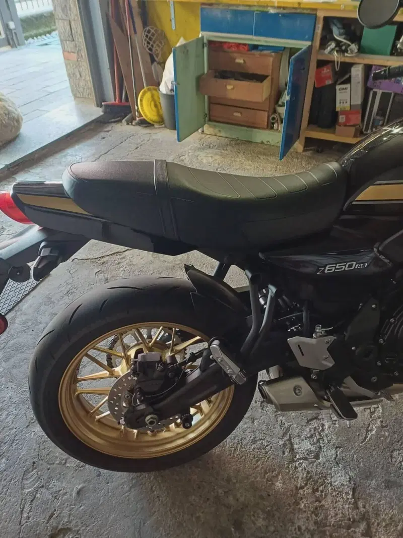 Kawasaki Z 650 RS (2025 - 26) (4)