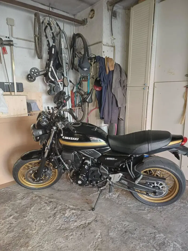 Kawasaki Z 650 RS (2025 - 26) (7)