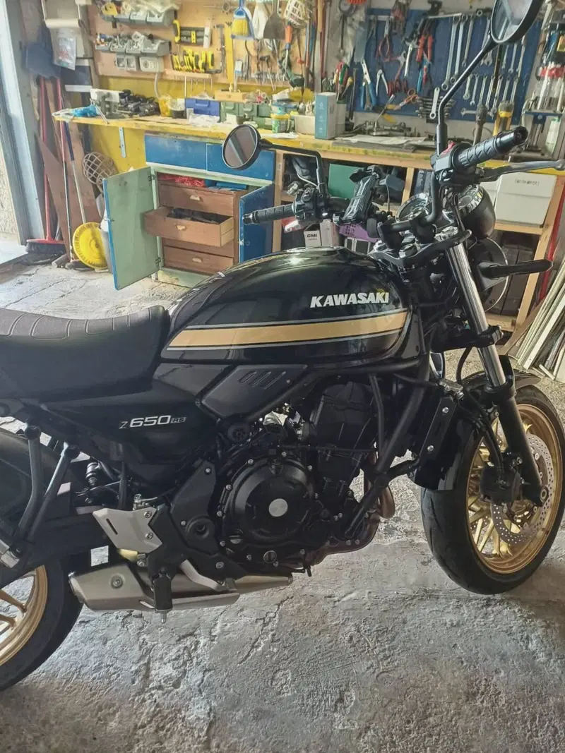 Kawasaki Z 650 RS (2025 - 26) (3)