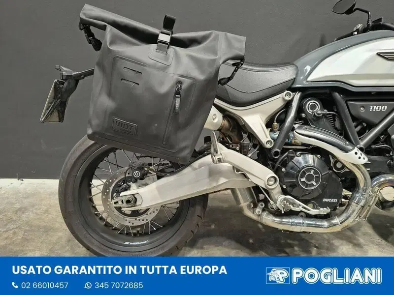Ducati Scrambler 1100 (2018 - 20) (8)