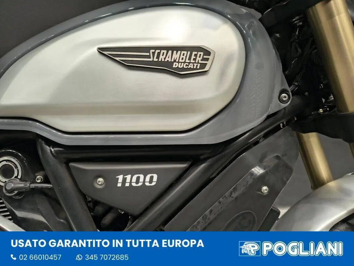 Ducati Scrambler 1100 (2018 - 20) (7)