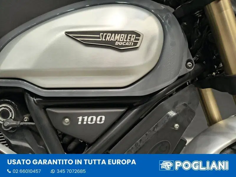 Ducati Scrambler 1100 (2018 - 20) (7)