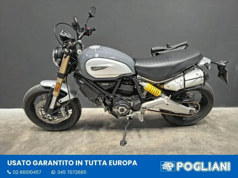 Ducati Scrambler 1100 (2018 - 20) (5)