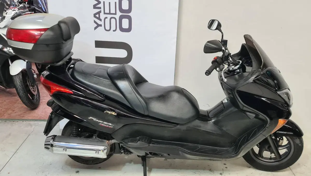 Honda Forza 250 X (2005 - 07)