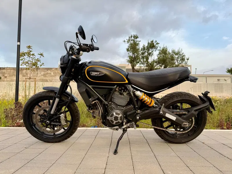 Ducati Scrambler 800 Icon (2015 - 16) (7)
