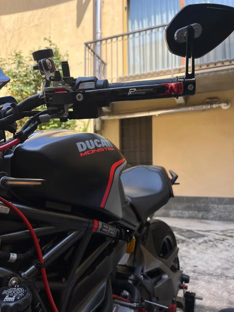 Ducati Monster 821 Stealth (2019 - 20) (3)