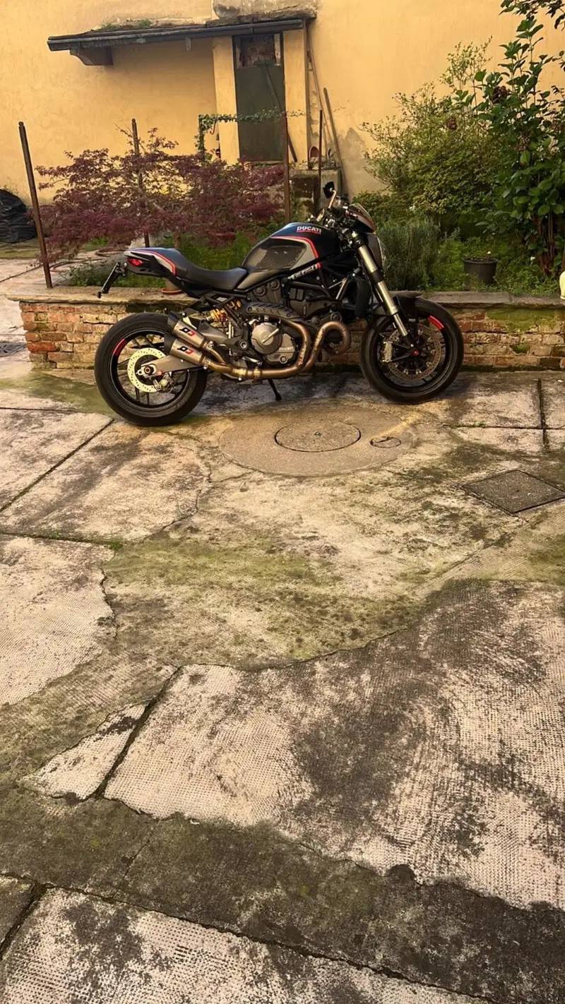 Ducati Monster 821 Stealth (2019 - 20) (4)