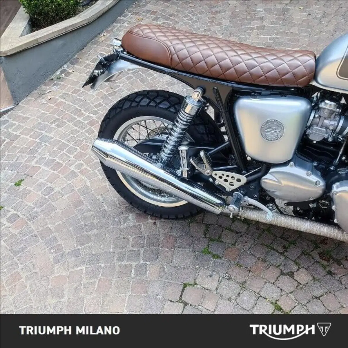 Triumph Thruxton 900 (2004 - 15) (2)