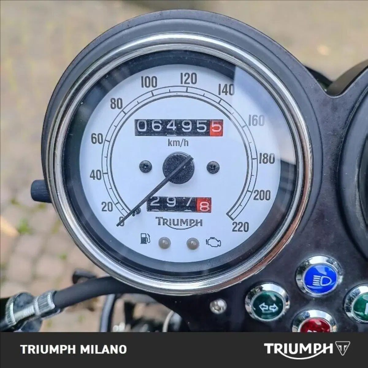 Triumph Thruxton 900 (2004 - 15) (8)