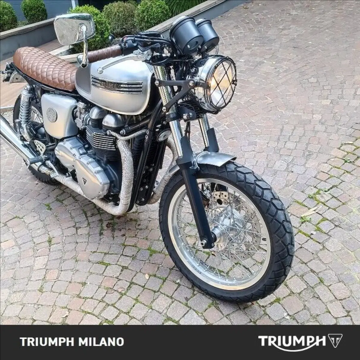 Triumph Thruxton 900 (2004 - 15) (6)