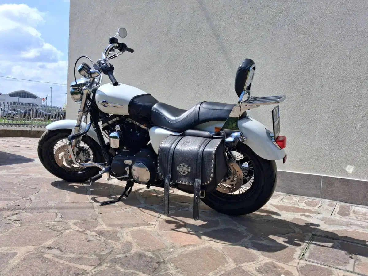 Harley-Davidson 1200 Custom CB (2013 - 17) - XL 1200CB (6)