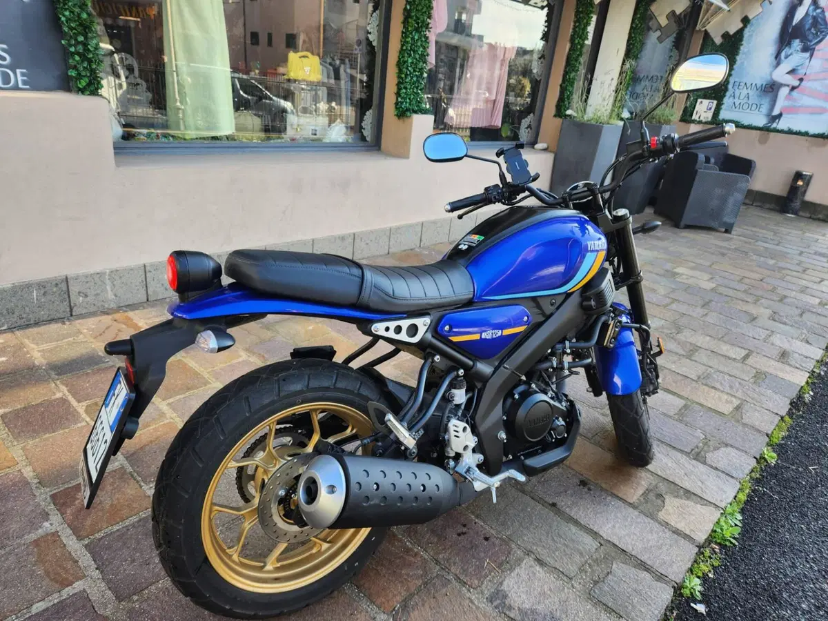 Yamaha XSR 125 Legacy (2022 - 24) (4)