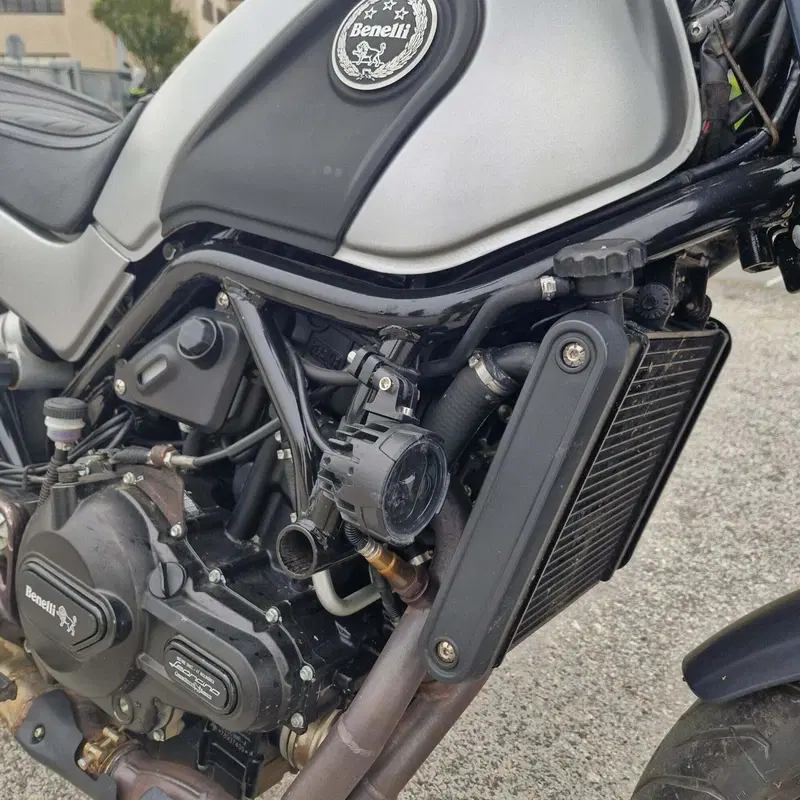 Benelli Leoncino 500 ABS (2017 - 20) (4)