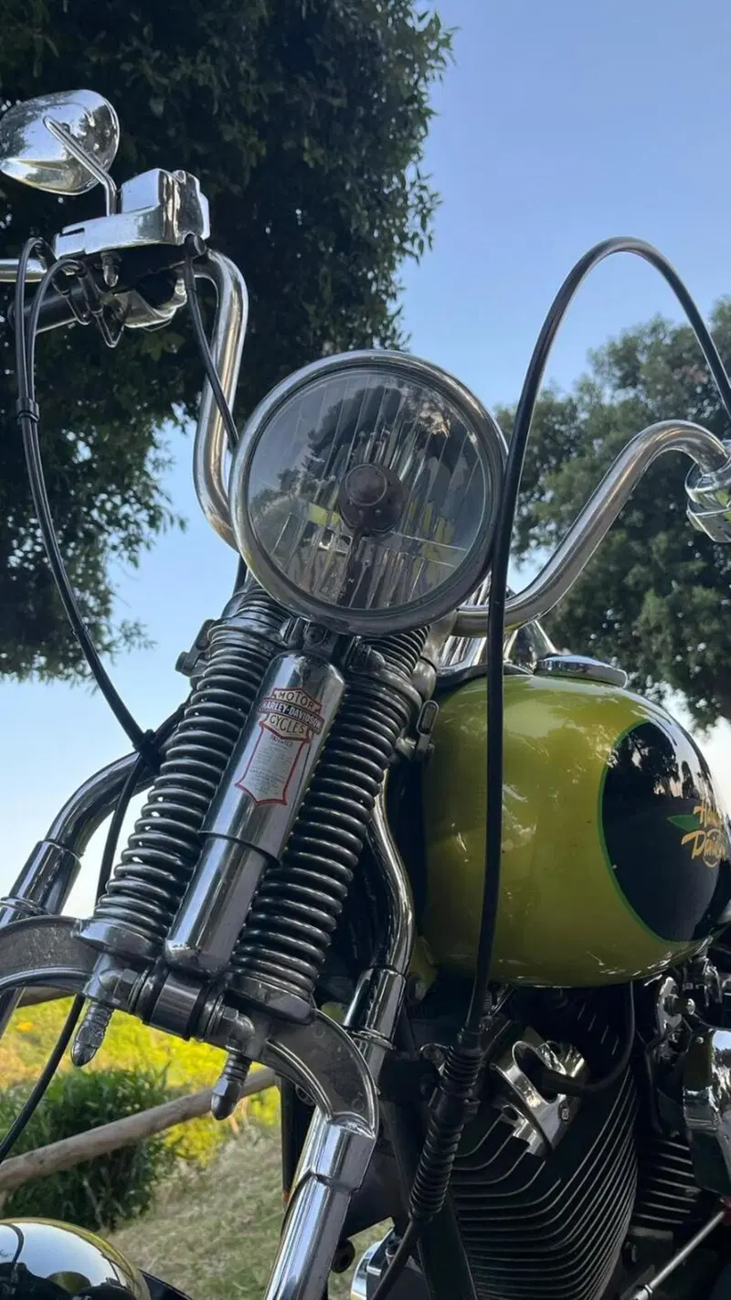 Harley-Davidson 1450 Springer (2001 - 03) - FXSTS (2)