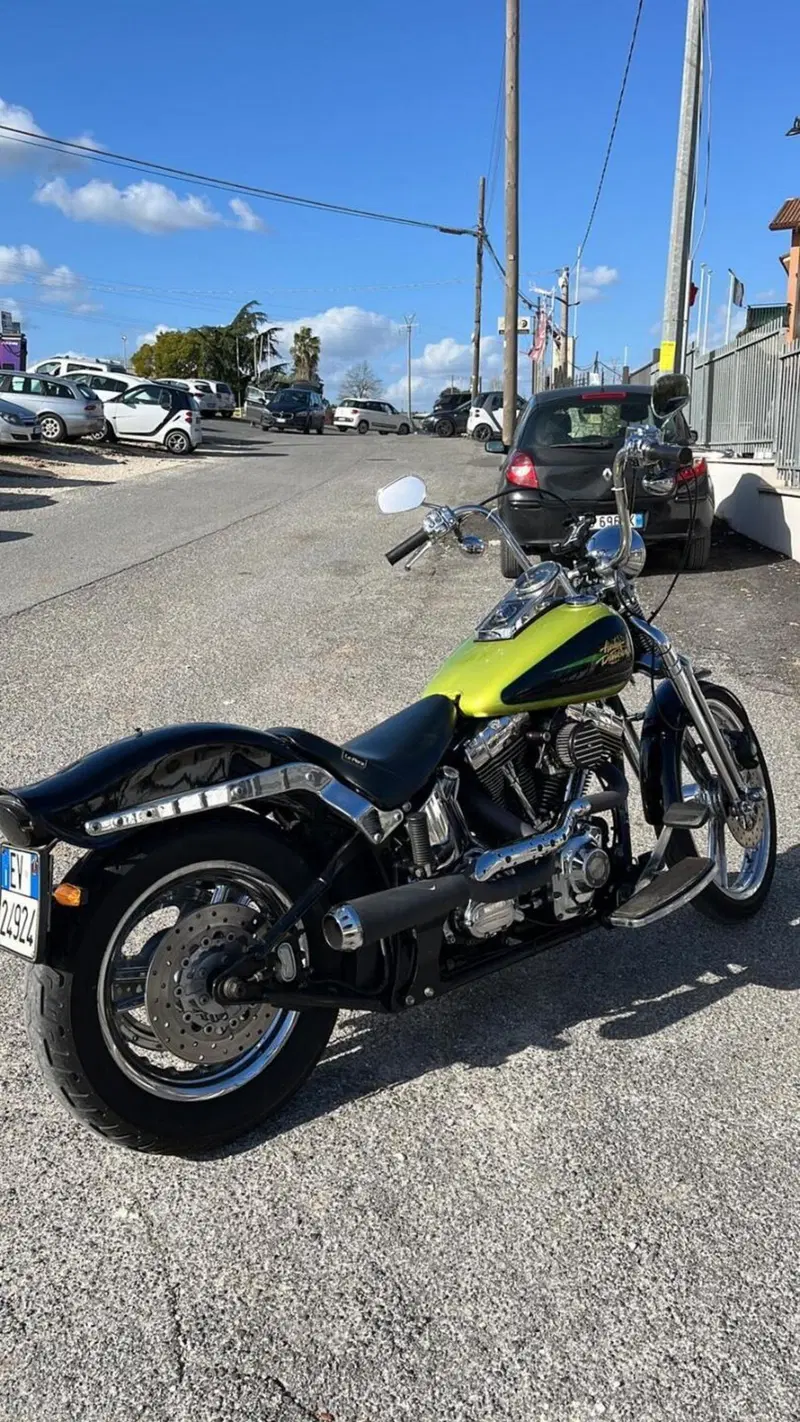 Harley-Davidson 1450 Springer (2001 - 03) - FXSTS (3)