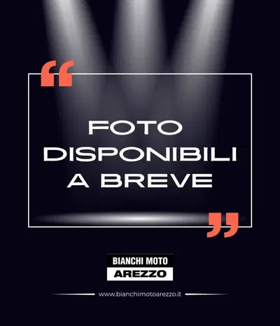 Triumph Tiger 900 GT Pro (2020 - 23) usata