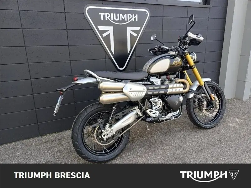 Triumph Scrambler 1200 XE Icon Edition (2025 - 26) (3)