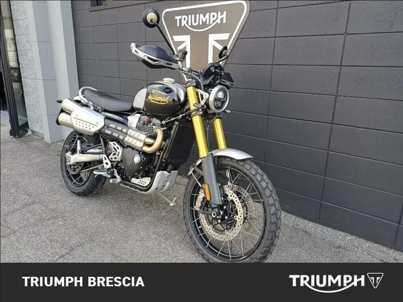 Triumph Scrambler 1200 XE Icon Edition (2025 - 26) (2)