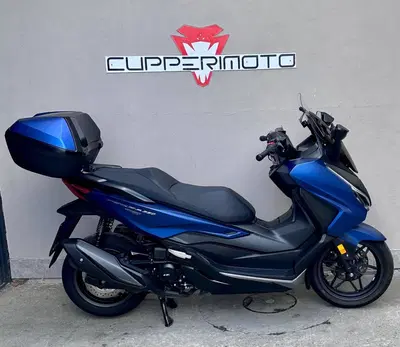 Honda Forza 350 Deluxe (2022 - 24) usata