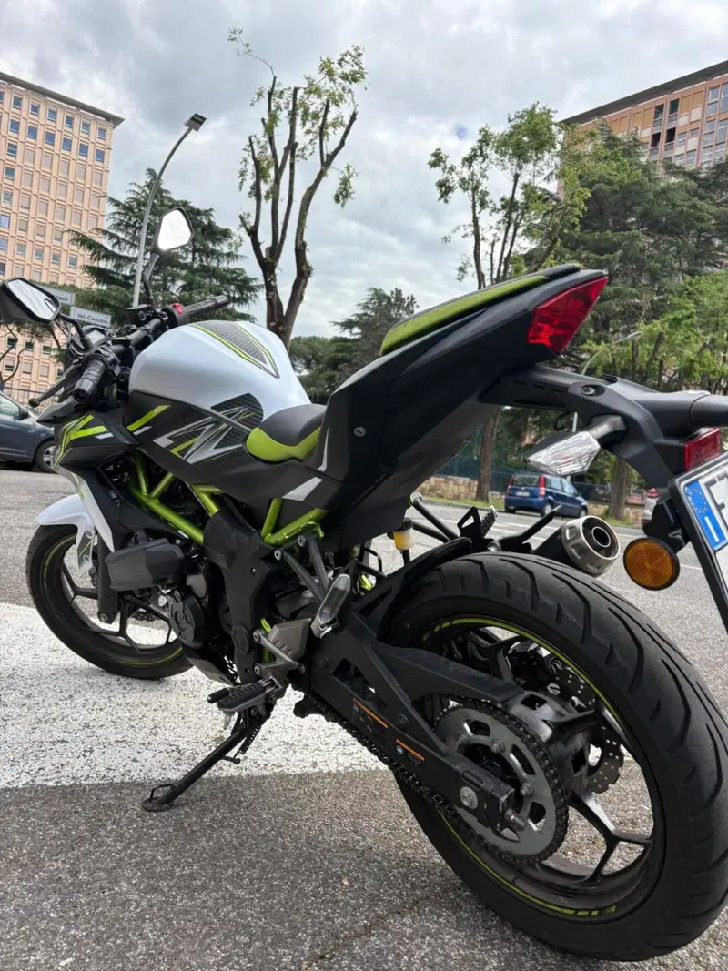 Kawasaki Z 125 (2021 - 24) (6)