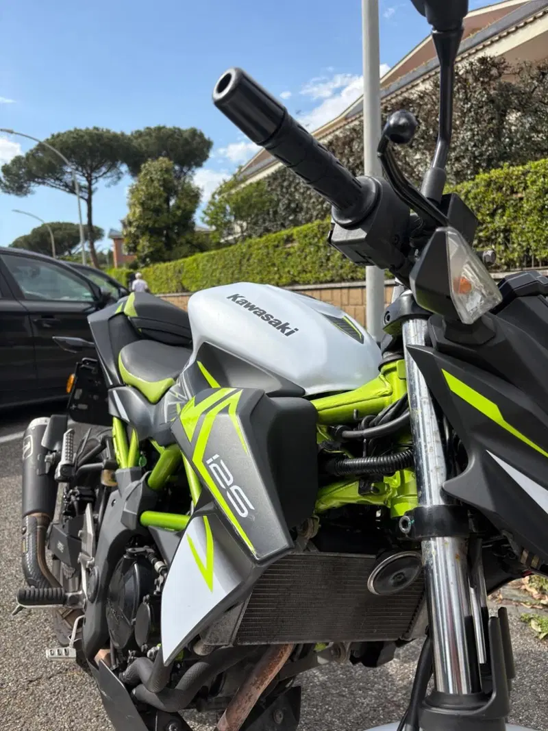 Kawasaki Z 125 (2021 - 24) (10)
