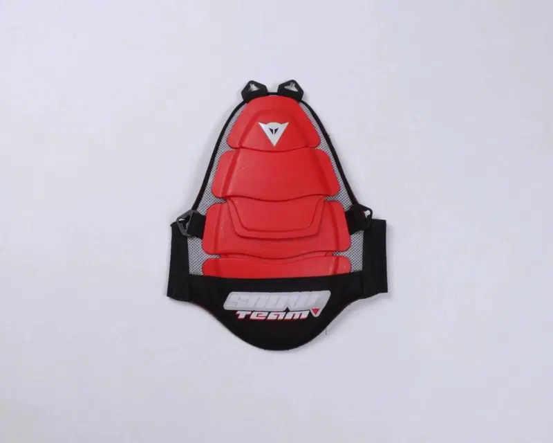 Paraschiena Dainese Articolato Off-Road - S