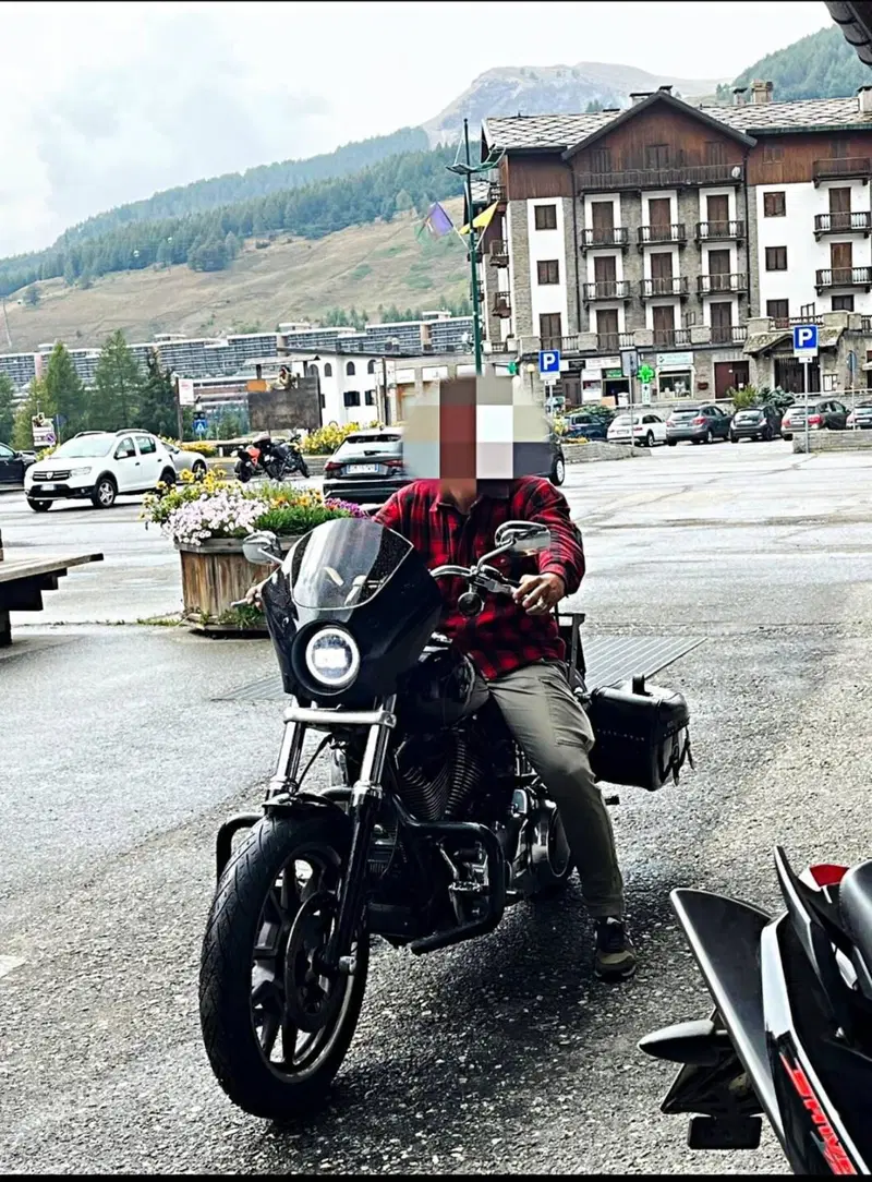 Harley-Davidson 1690 Low Rider (2014 - 17) - FXDL (2)