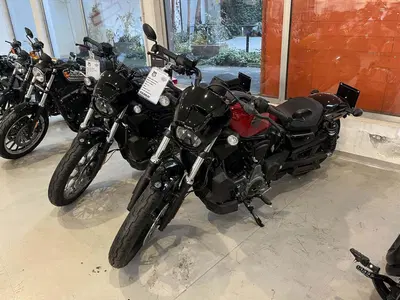 Harley-Davidson Nightster (2023 - 26) usata