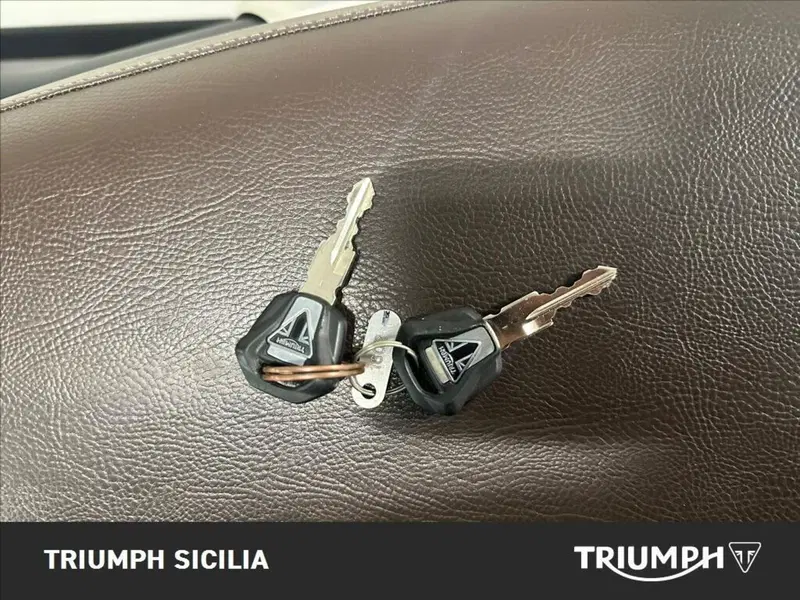 Triumph Scrambler 1200 X (2024 - 26) (10)