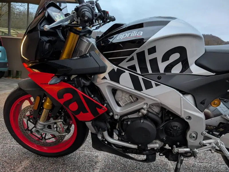 Aprilia Tuono V4 Factory (2019 - 20) (9)