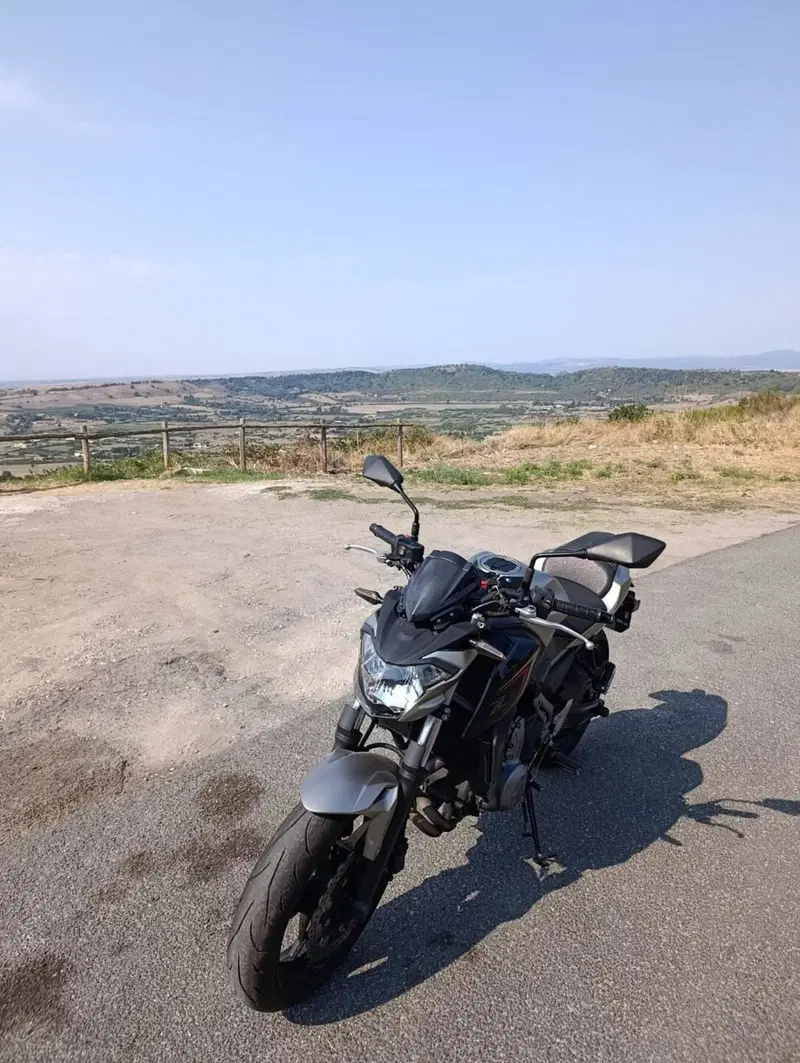 Kawasaki Z 650 (2017 - 19) (3)