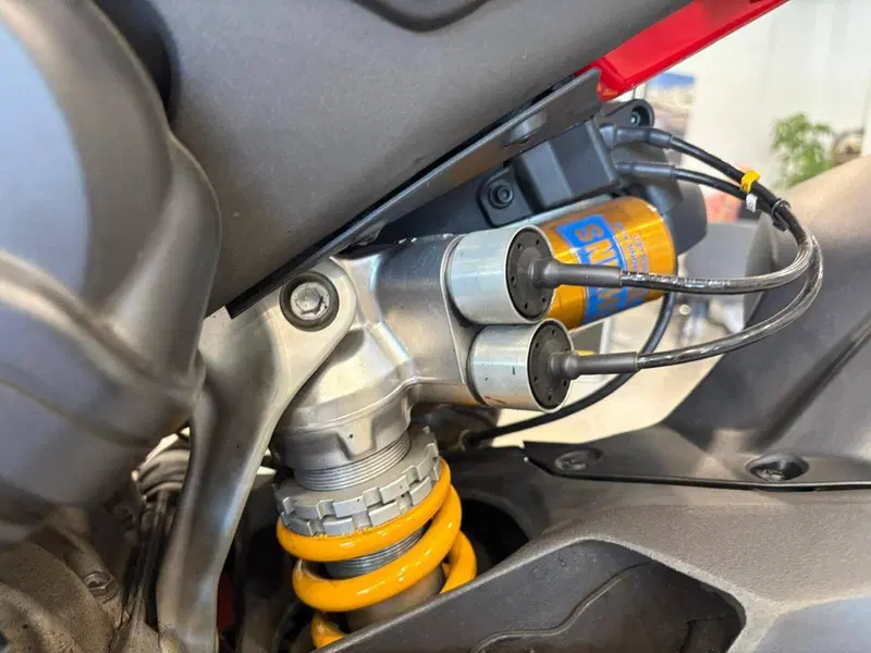 Ducati Panigale V4 S 1100 (2018 - 19) (6)
