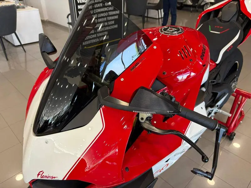 Ducati Panigale V4 S 1100 (2018 - 19) (17)