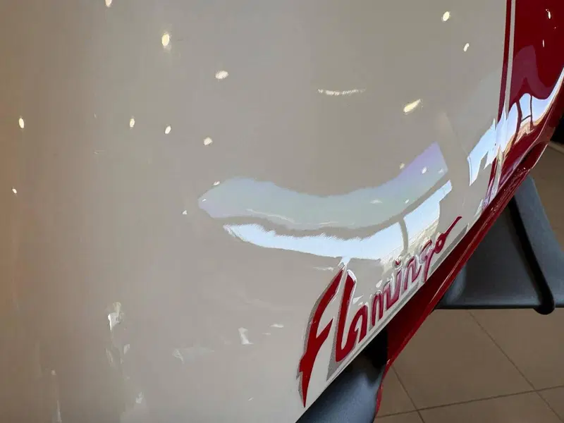 Ducati Panigale V4 S 1100 (2018 - 19) (18)