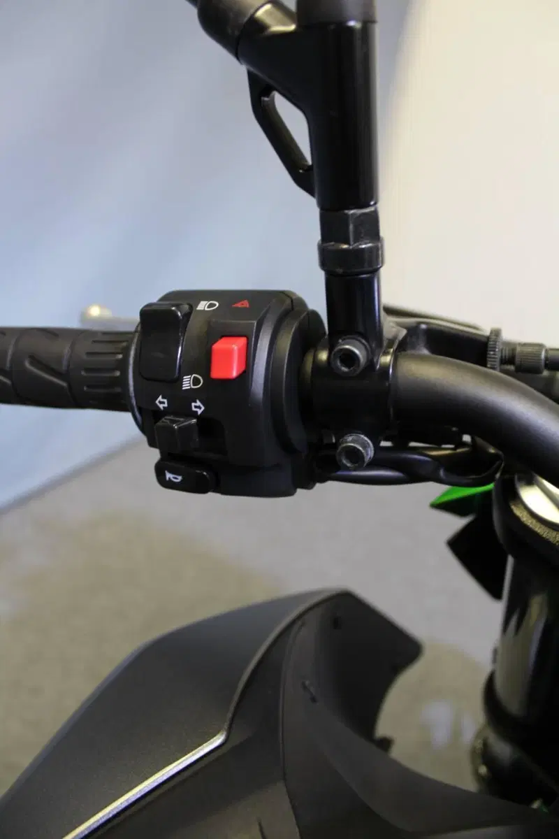 Kawasaki Z 500 SE (2024 - 26) (11)