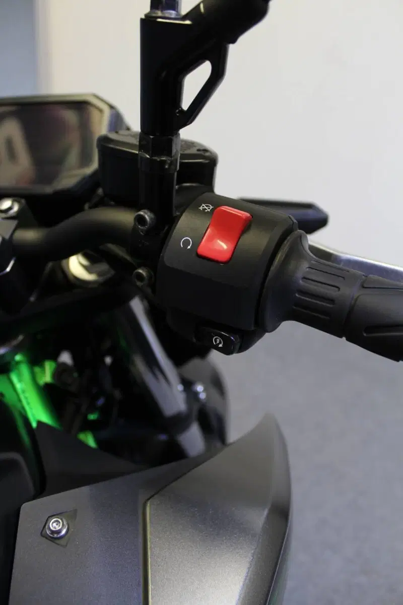 Kawasaki Z 500 SE (2024 - 26) (12)