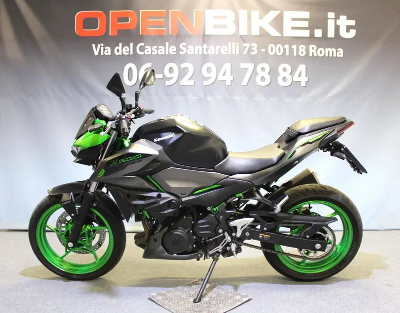 Kawasaki Z 500 SE (2024 - 26) (2)