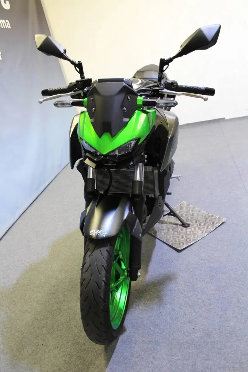 Kawasaki Z 500 SE (2024 - 26) (14)