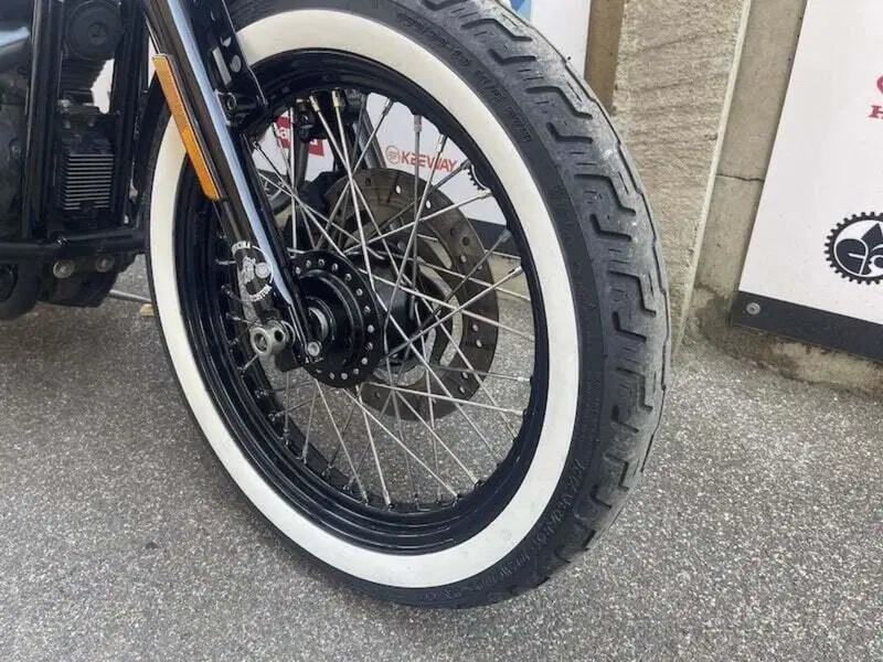 Harley-Davidson XL 1200N Nightster (2008 - 12) (16)