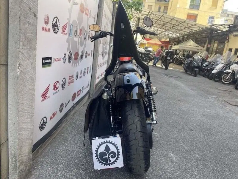 Harley-Davidson XL 1200N Nightster (2008 - 12) (19)