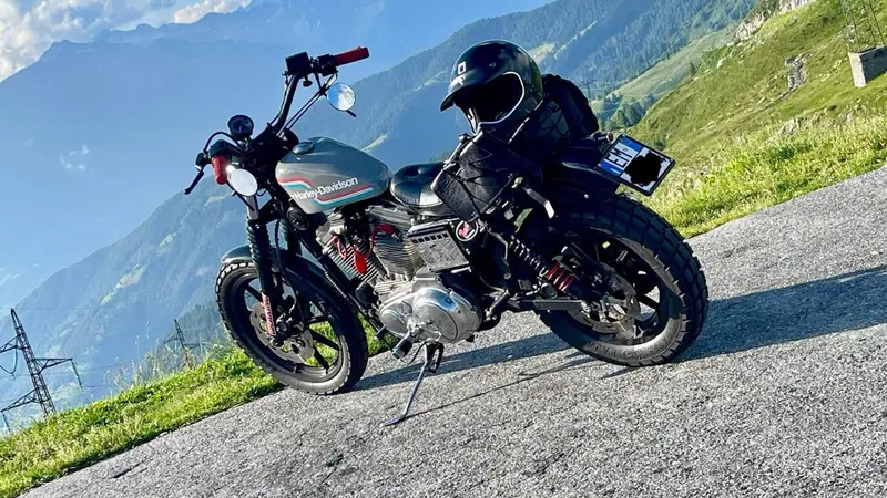 Harley-Davidson 883 Standard (1987 - 93) - XLH (2)