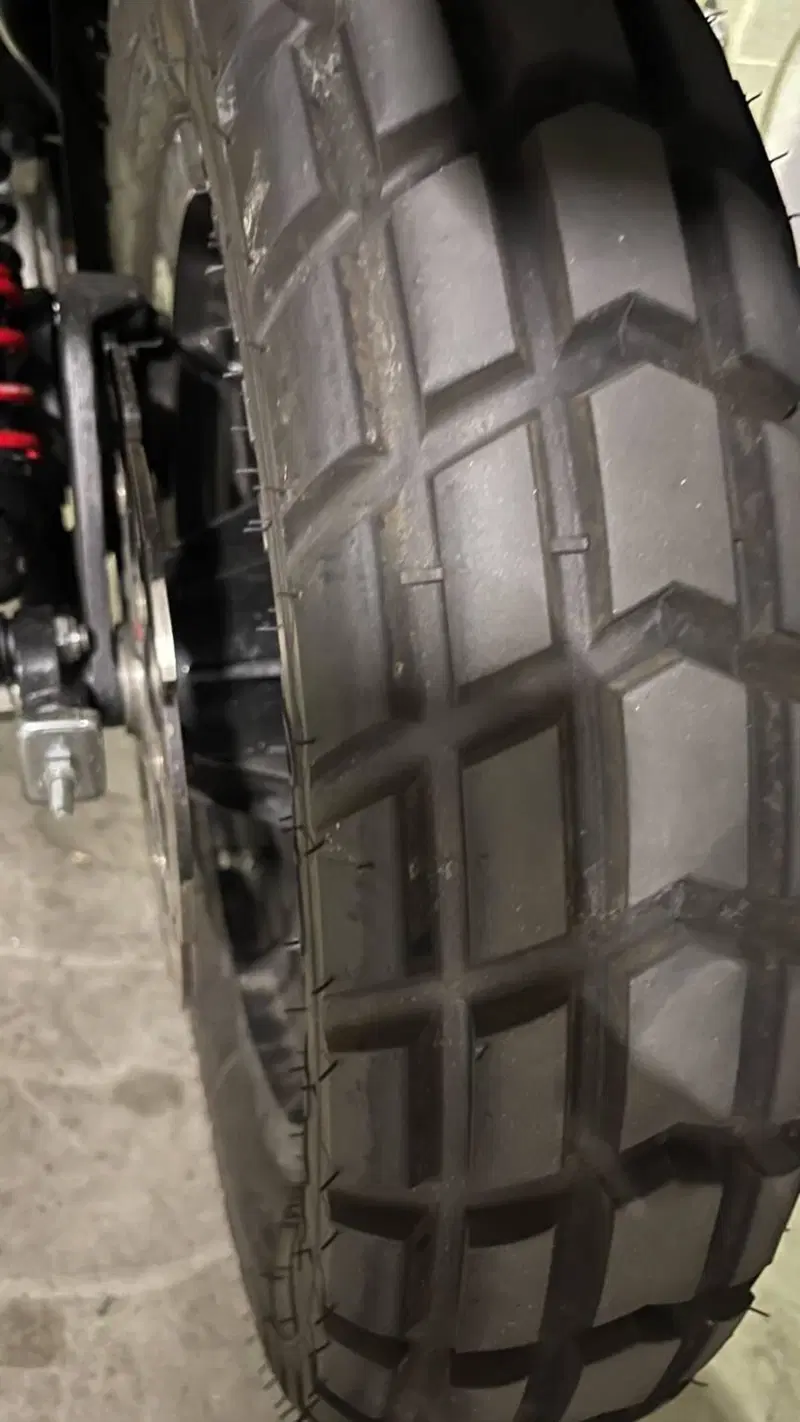 Harley-Davidson 883 Standard (1987 - 93) - XLH (7)