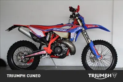 Betamotor RR 300 2T Enduro Racing (2024) usata